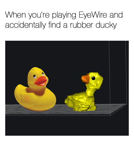 rubber-ducky-meme