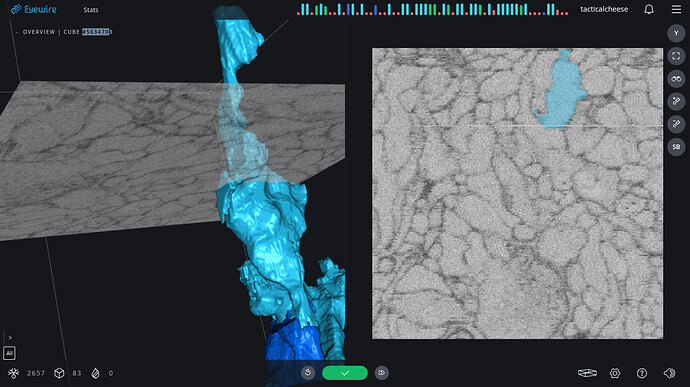 Screenshot 2026-05-21 7.32.44 AM