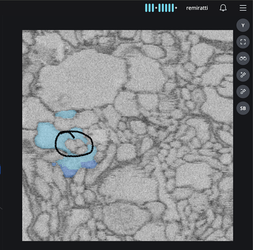 Screenshot 2026-02-03 at 2.05.33 PM