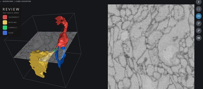 Screenshot 2025-03-21 at 17.02.00