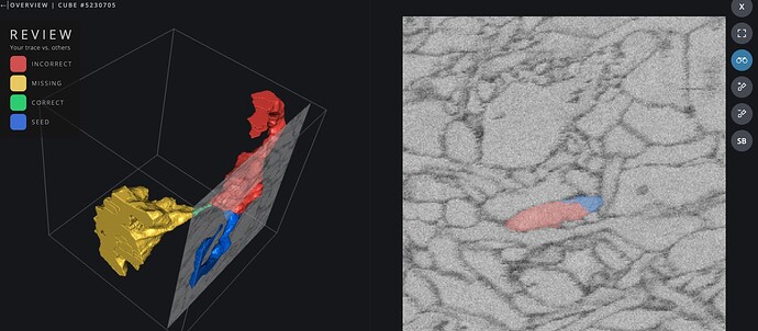 Screenshot 2025-03-21 at 17.02.50