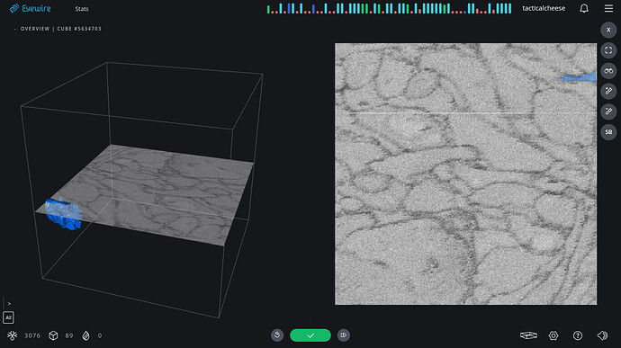 Screenshot 2026-05-21 8.08.01 AM