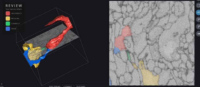 Screenshot 2025-03-21 at 17.01.02