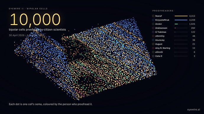 10k_cells_players_eyewire2