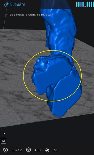 Screenshot 2025-01-13 at 1.42.21 PM