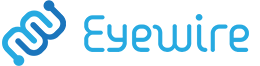 Eyewire Forum